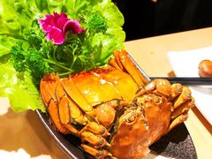 -旺小胖小龙虾