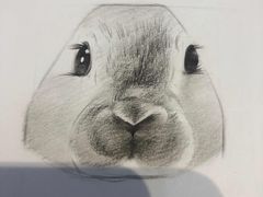 -火星时代教育(成都校区)