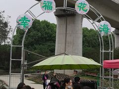 -秀丽东方