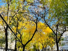 -金豆角砂锅焖面(安贞店)