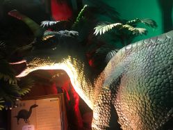 -恐龙探索乐园(磁器口店)