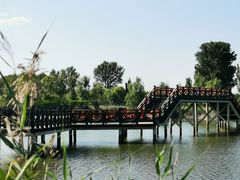 -野鸭湖国家湿地公园