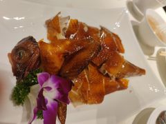 -东海海鲜酒家(中信广场店)