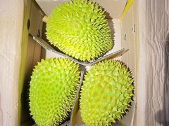 -双福水果批发市场