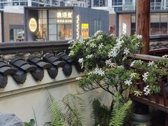 -道南書院·私房菜·早午茶·茶馆