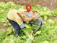 -宾果蒙特梭利托育儿童之家幼儿园(爱琴海店)