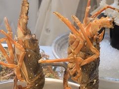 -喜聚薈·花膠雞海鮮火鍋(越秀店)