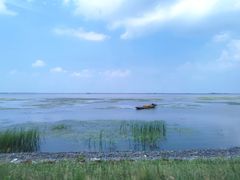 -白渔泡湿地公园