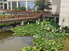 -开封开元名都大酒店·可泰自助餐厅