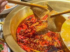 -小龙坎火锅(泉舜店)