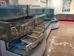 水产区-丽苑大酒店