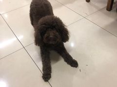 -苏州藏书羊肉馆