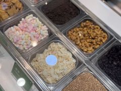 -Salud撒露欧洲冻酸奶(蓝色港湾店)