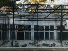 -保定市动物园