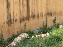 -宁波野生动物园