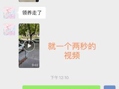 -中农大我爱我爱动物医院(甜水园店)