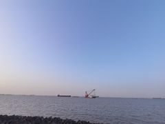 -上海滨江森林公园