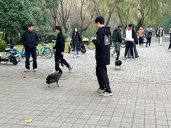 -东华大学(松江校区)