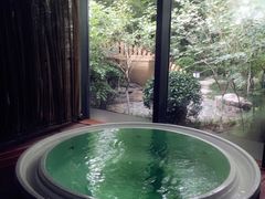 -春晖园度假酒店温泉