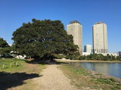 -台场海滨公园船码头
