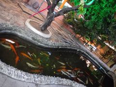 -荔城生鲜盛宴(番禺旗舰店)