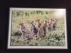 -罗红摄影艺术馆