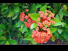 景点-厦门博饼民俗园