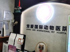 -宠爱国际动物医院·疑难骨科·心肾内科·皮肤科(太阳宫店)