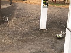 -无锡动物园·太湖欢乐园