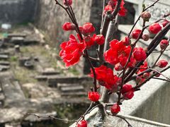 -太姥山风景名胜区