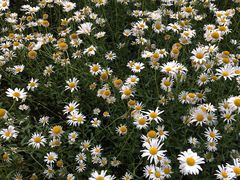 -江苏省苏州实验中学