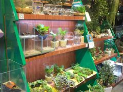 -扶光书店(中环店)
