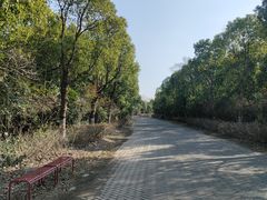 -上海海湾国家森林公园