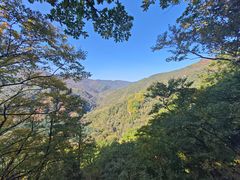 -五女峰国家森林公园