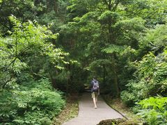-西岭雪山大飞水景区