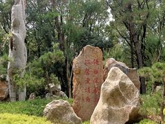 -东湖落雁景区