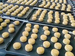 -泰康食品有限公司食品厂