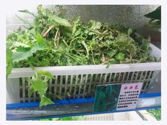 -黔府豆米火锅野菜馆(南马店)