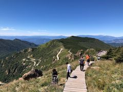 -白草畔自然风景区