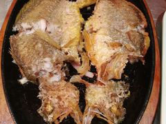 潮煎黄花鱼-潮界(虹桥新天地店)