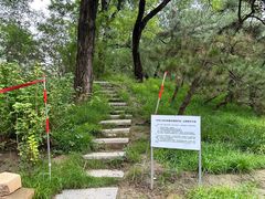 -元大都城垣遗址公园