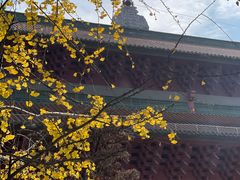-顺峰山公园