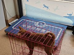 -芭比堂宠物医院·全科爱猫医院·仁德分院
