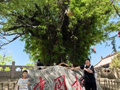 -大槐树寻根祭祖园