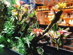 -森味薪火烧•烧鸟居酒屋•日本料理(望京店)