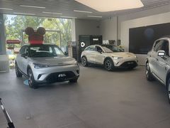 -上海浦东smart汽车全功能店(金桥店)