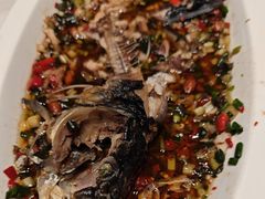 -樱㳊音乐餐酒吧