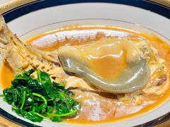 -鲐赏河豚(长寿店)