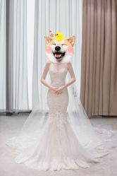 -MuseMarry婚纱(前海嘉里中心店)