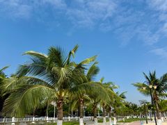 -芳叔(东方宝泰店)